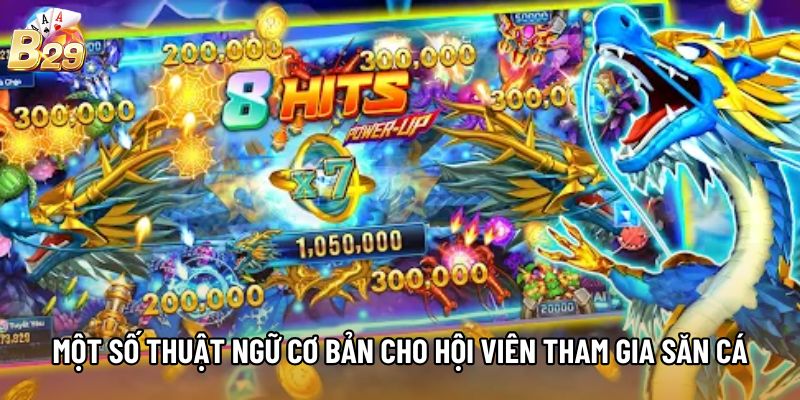 Một số thuật ngữ cơ bản cho hội viên tham gia săn cá